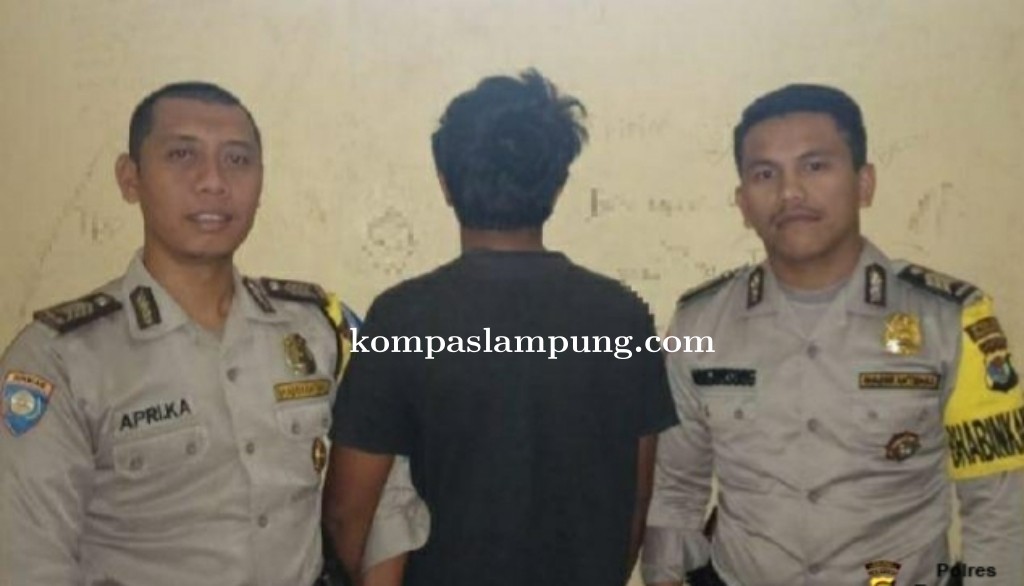 Tiga Kali Mencuri Burung Berkicau, Seorang Remaja Diamankan Polsek Sumberejo
