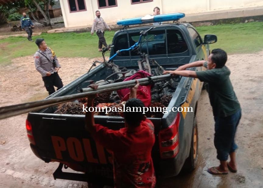 Dua Pelaku Pencuri Buah Sawit Diringkus Team Gabungan Tekab 308 Sat Reskrim Polres Lamteng