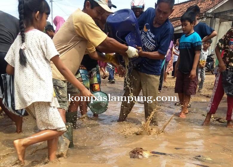 Viral !! Lek Darsono dan Warga Tabur Ratusan Ikan Lele Jalan Rusak
