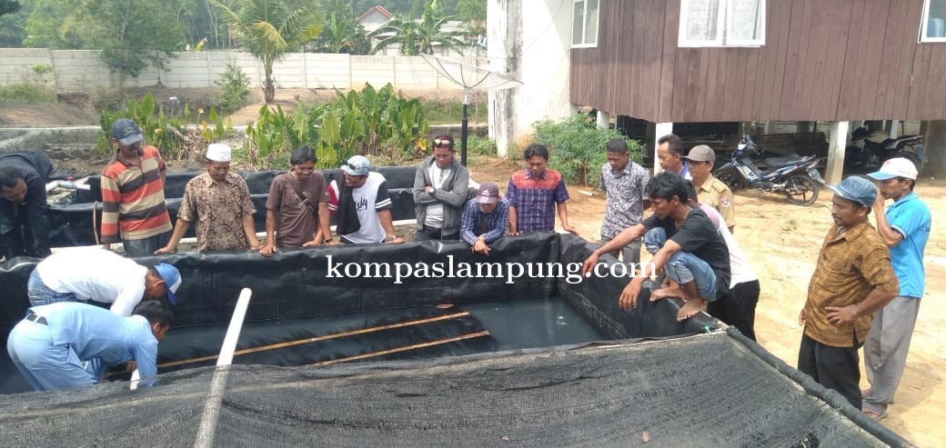 Dinas Kelautan Dan Perikanan Mesuji Memberikan Pelatihan Pemijahan Benih Ikan Gurame Dan Ikan Lele 