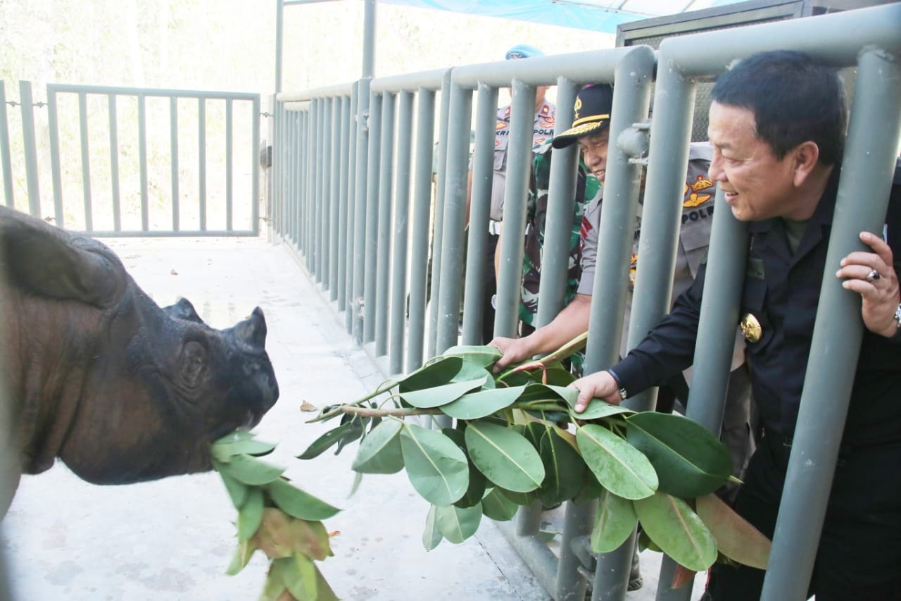Gubernur Arinal Siap All Out Lindungi Satwa, Lampung akan Jadi Benteng Terakhir Pelestarian Badak