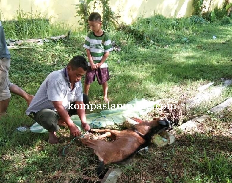 Rasa Syukur Warga Rusunawa Iringmulyo Kepada Wahdi-Qomaru (Waru)