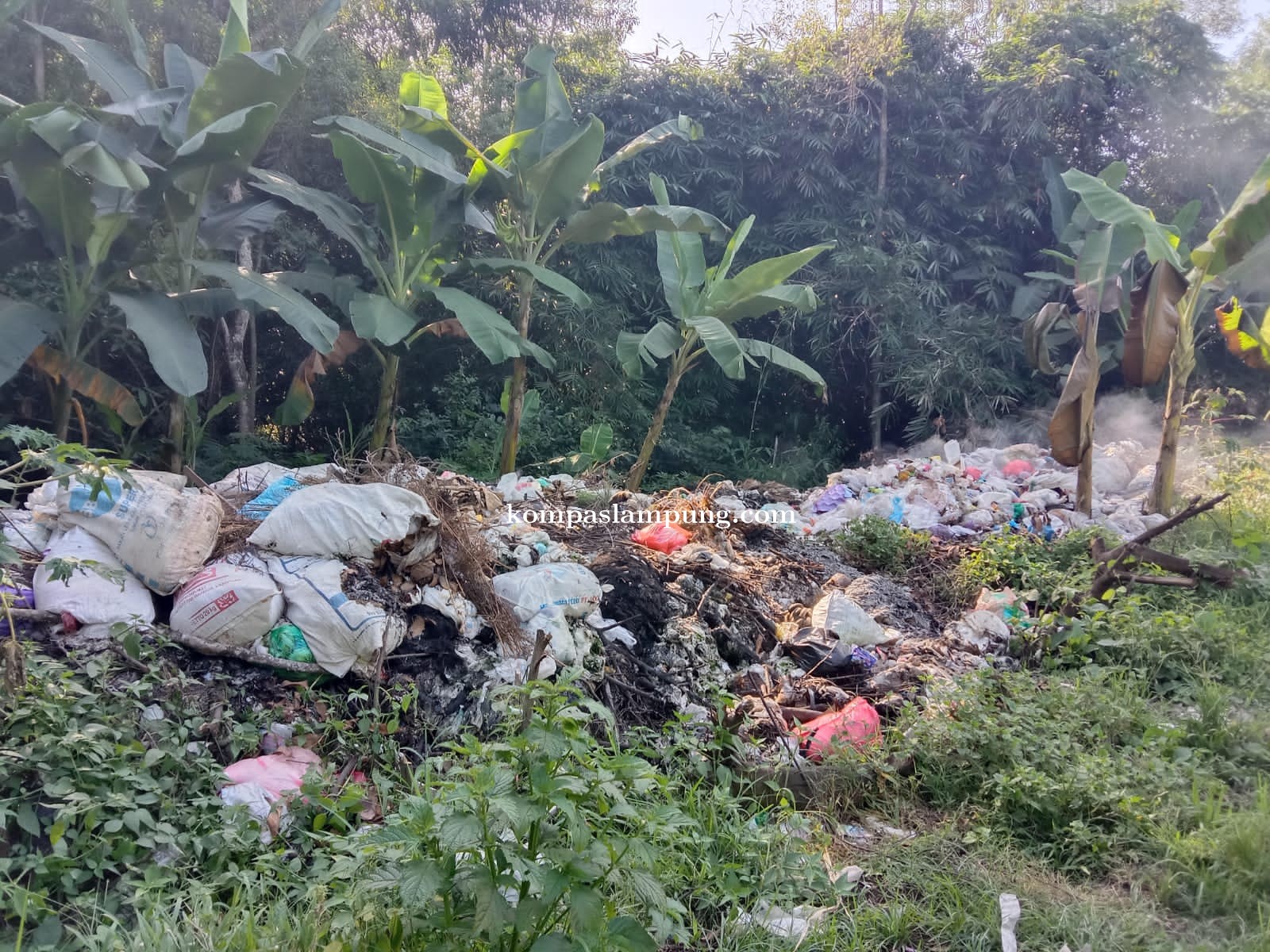 Tempat Pembuangan Sampah di Desa Banarjoyo Dikeluhkan Masyarakat Setempat