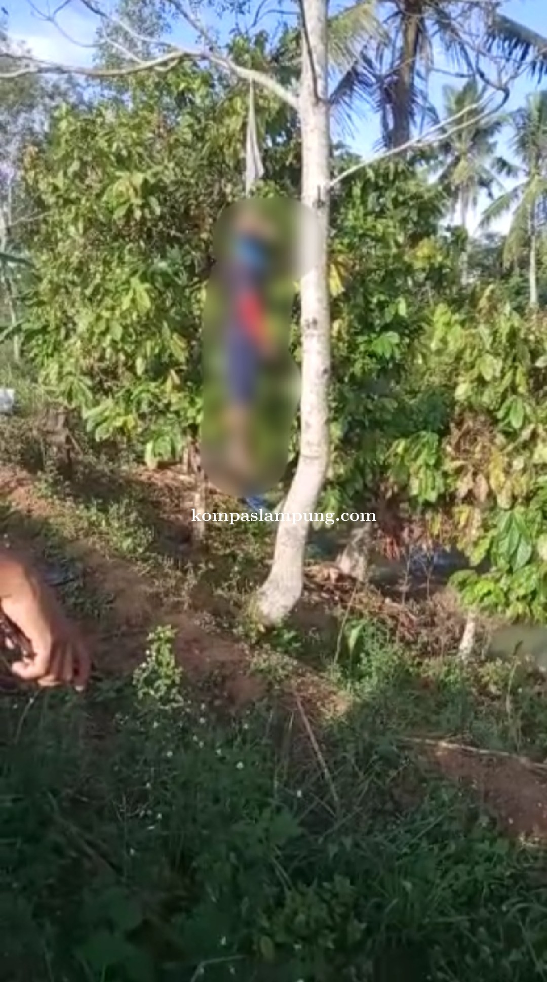 Diduga Depresi Akibat Beban Ekonomi, Pria Warga Desa Trimulyo Nekat Gantung Diri