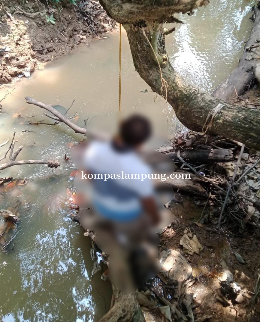 Warga Margorejo Ditemukan Tewas Gantung Diri di Pinggir Anak Sungai Batanghari