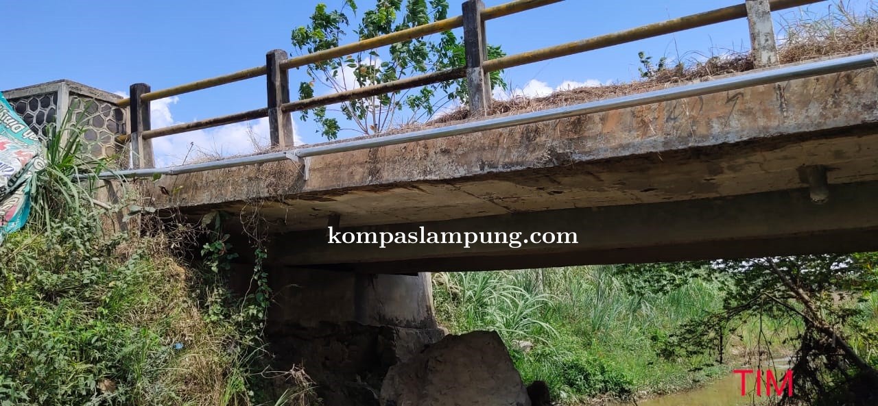 Tiga Titik Jembatan Di Tiyuh Kibang Budi Jaya Rusak Berat Salah Satu Ambruk Total
