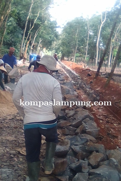 Kades Purwodadi Mekar Salurkan DD Tahap I Dan II Untuk Pembangunan Infrastruktur Dan BLT