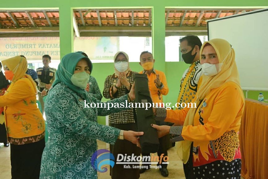 Ketua TP PKK Kabupaten Lamteng Gelar Kegiatan Pencegahan Kekerasan Terhadap Perempuan