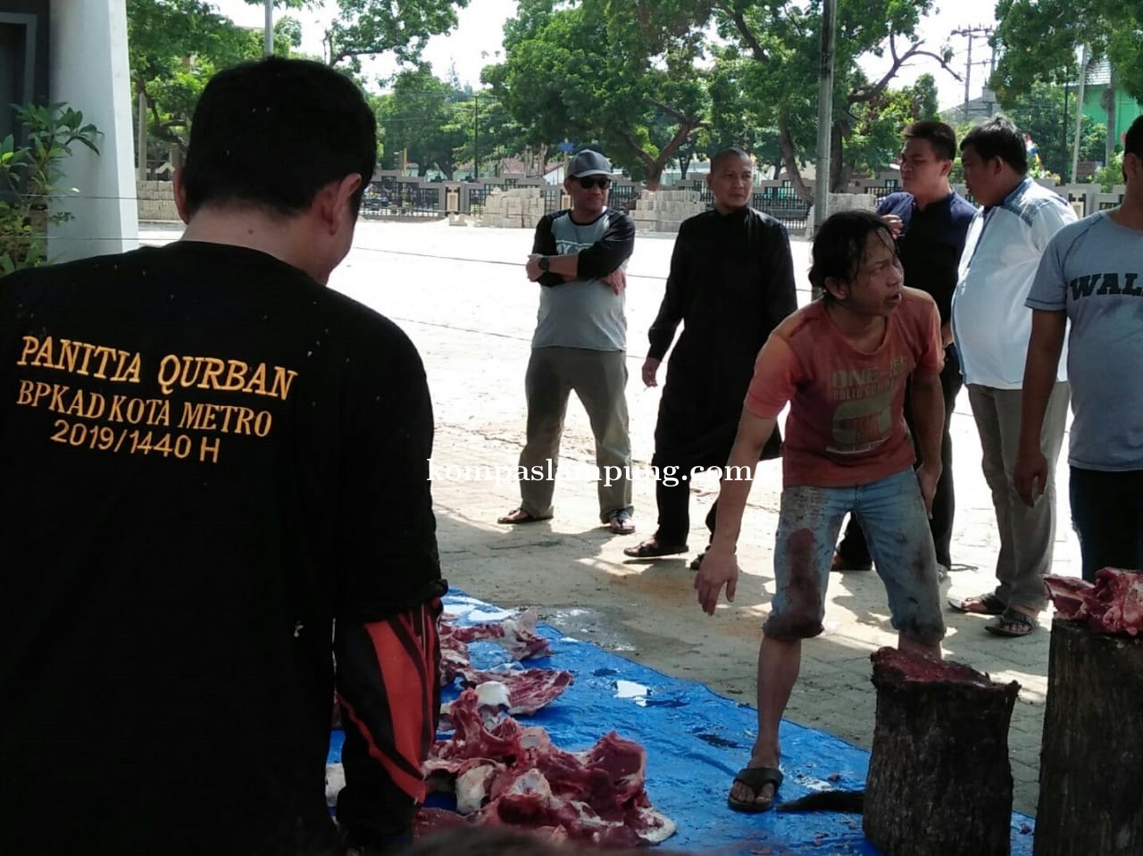 PEGAWAI BPKAD KOTA METRO PERSEMBAHKAN HEWAN KURBAN 4 EKOR SAPI