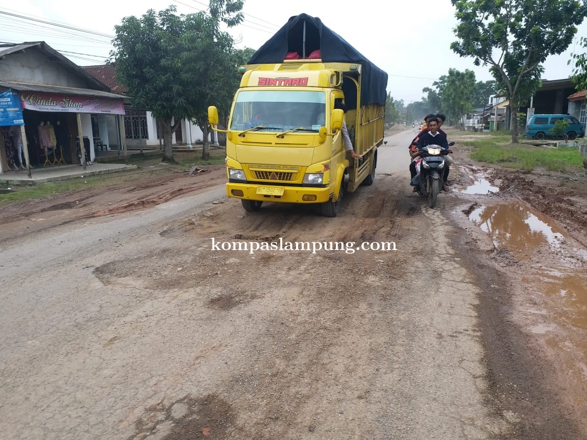 Persis Kubangan Kerbau Di Jalan Budi Utomo Menjadi Sorotan