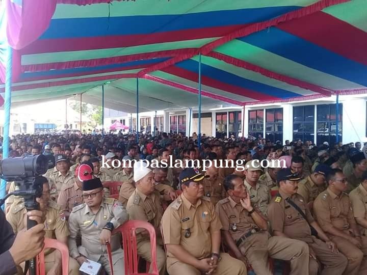 Dua Puluh Desa di Enam Kecamatan Diramaikan Dengan 73 Calon Kepala Desa