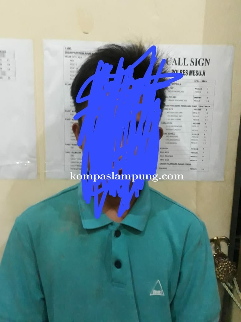 Satresnarkoba Polres Mesuji Berhasil Menangkap Bandar Narkoba