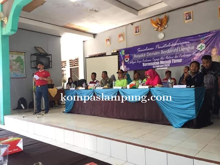 Bupati Mesuji Beserta Ibu Hj Nelly Wati Saply Menghadiri Kegiatan Pemberantasan Sarang Nyamuk