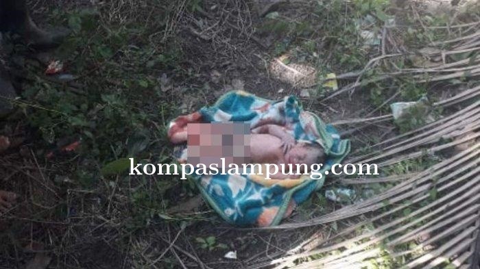 Warga Lampung Utara Geger, Ditemukan Sosok Bayi Berlumuran Darah Dipinggir Sungai