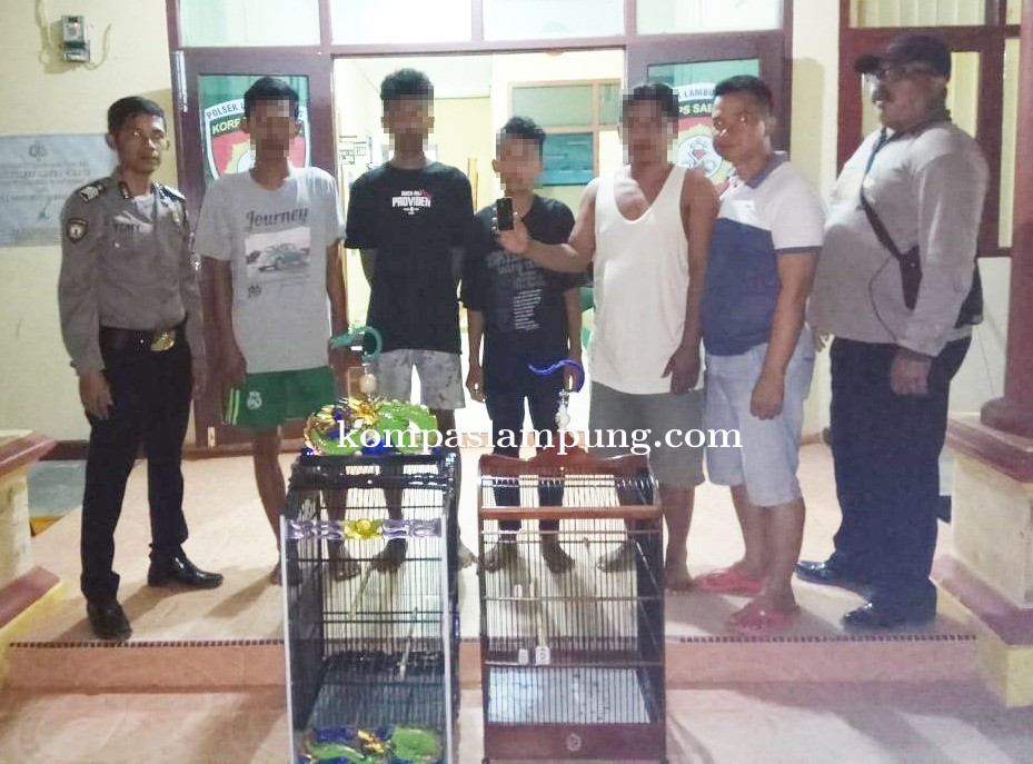Polsek Lambu Kibang Tangkap Komplotan Pelaku Curat Rumah Kosong
