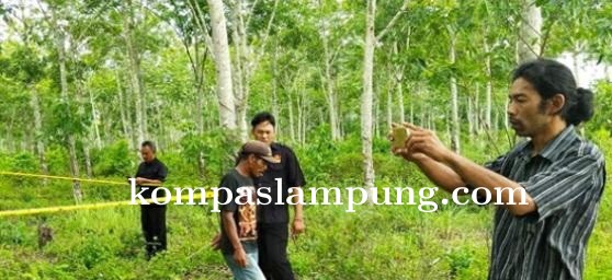  Penembakan Terjadi Di Lahan Register 45 Korban Tewas Di Lokasi