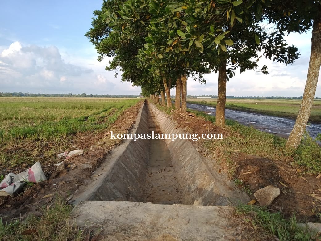 Pembangunan Irigasi P3A Desa Telogo Rejo Batanghari Lampung Timur Diduga Proyek Siluman