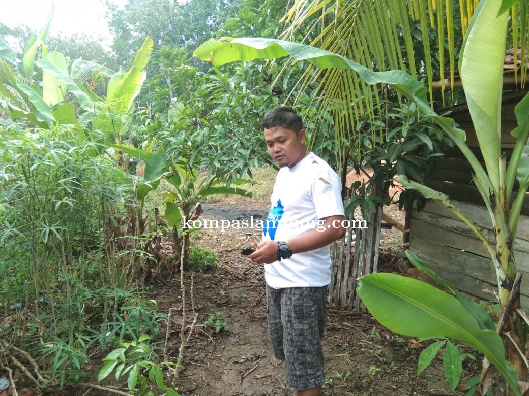  Aksi Garong Bersenjata Tajam Menyatroni  Rumah  Kepala Desa Sidomulyo Kecamatan Mesuji.
