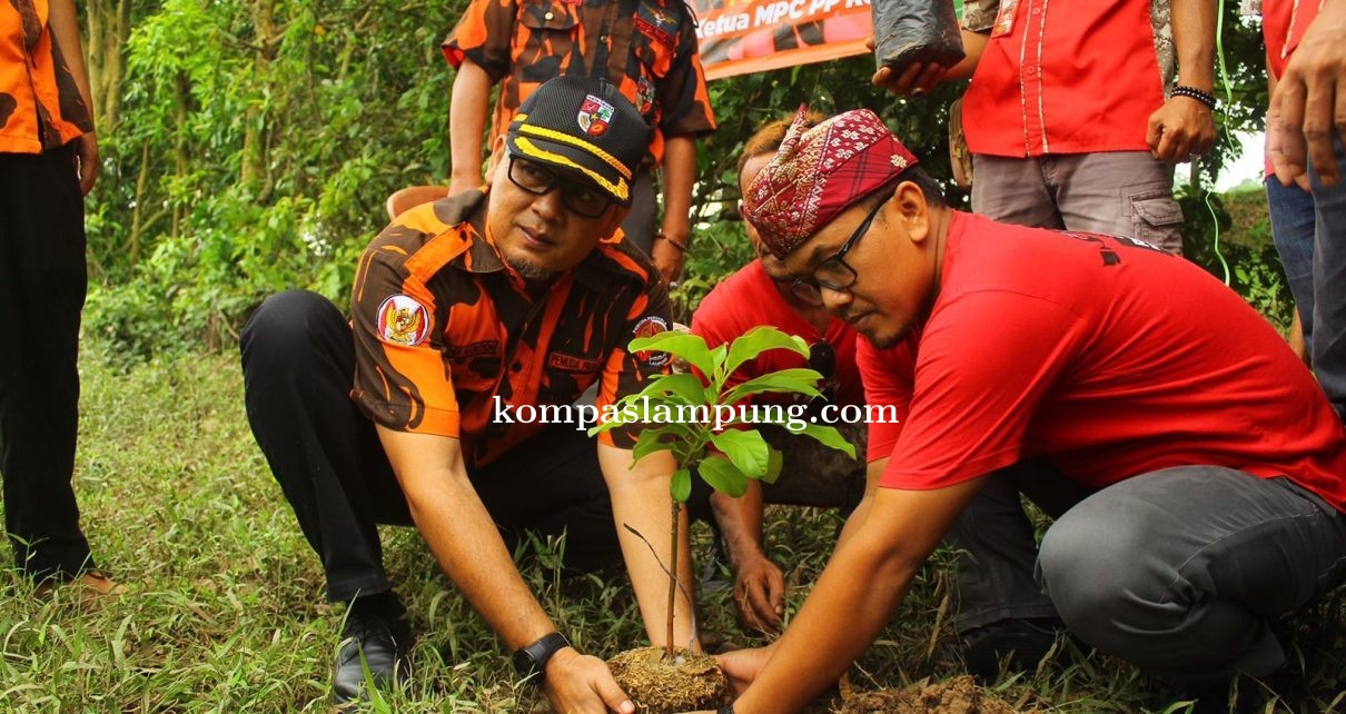 Ketua DPRD Kota Metro, Dan Ormas GML Tanam Bibit Alpukat
