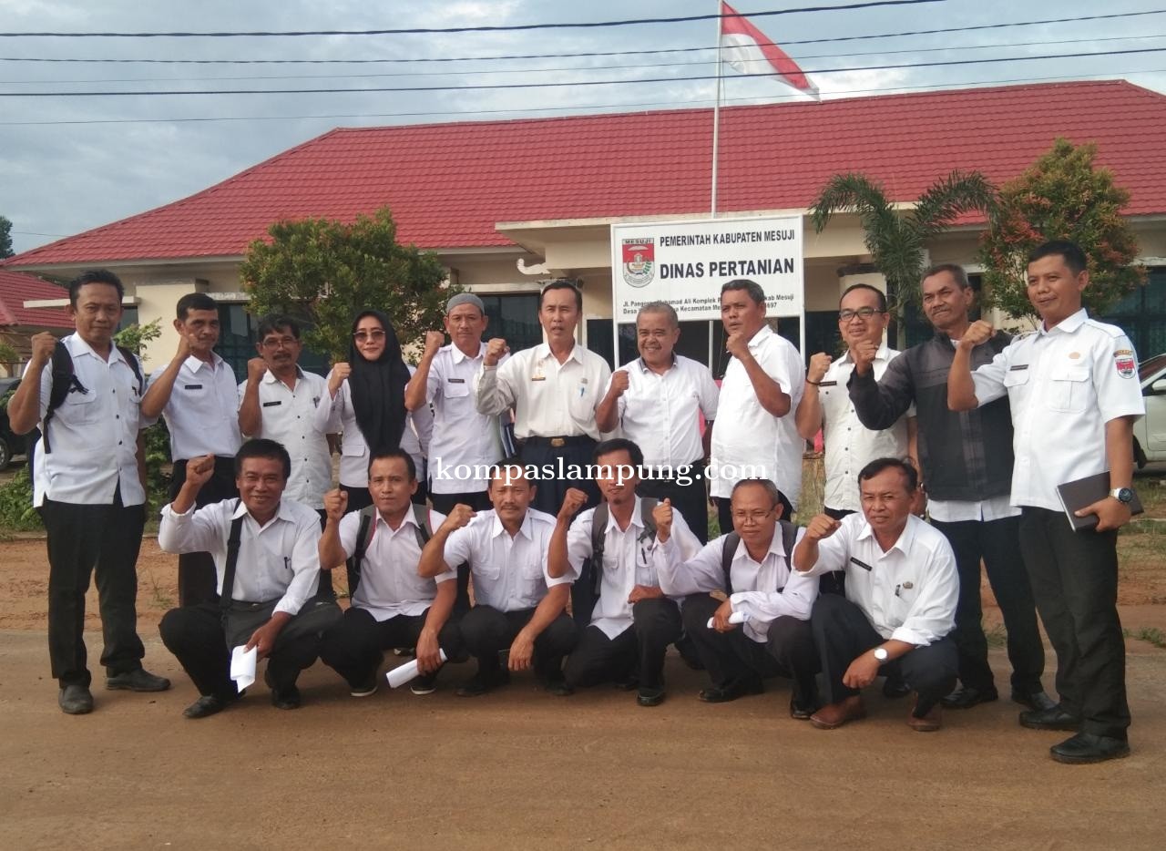 Dinas Pertanian Mesuji Mendorong Petani Mesuji Untuk Mengolah Lahan Ditanami Kacang Koro Pedang