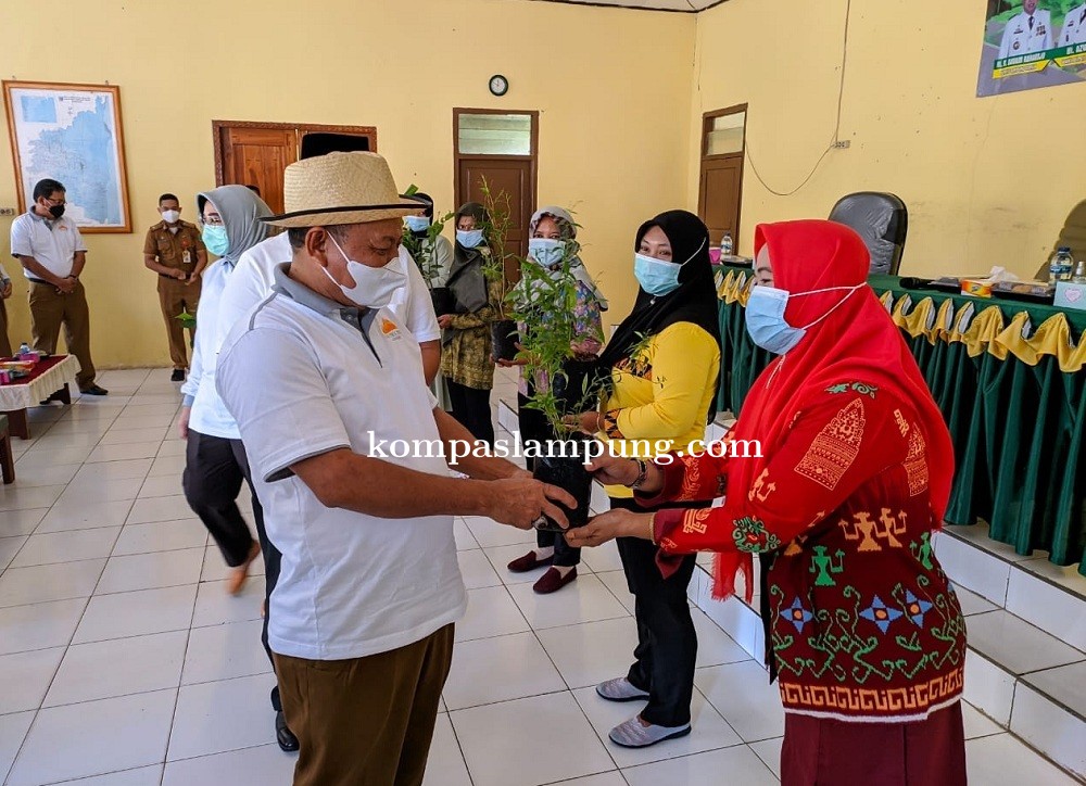 Bupati Lamtim Menyerahkan Bibit Tanaman Holtikultural Dalam Rangka Pemulihan Ekonomi Nasional