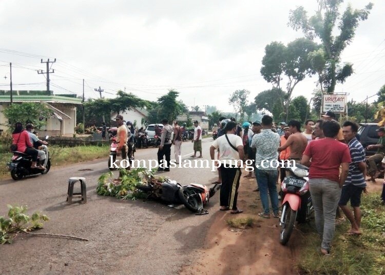 Menghindari Jalan Yang Rusak, Ristiana Jadi Korban Truk Fuso Hingga Tewas