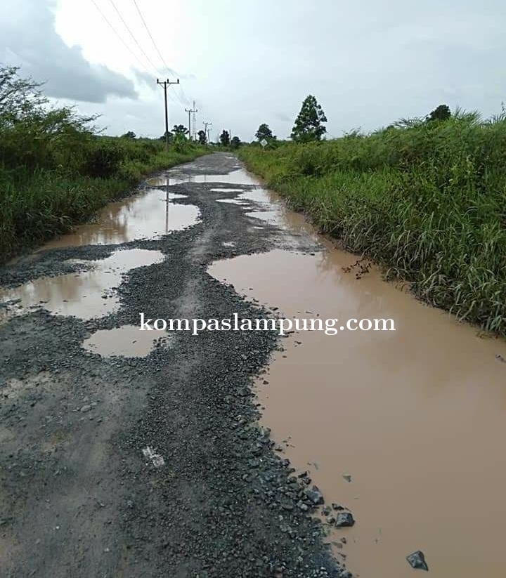 Beberapa Ruas Jalan Poros Di Kec Tanjung Raya Hingga Wiralaga Rusak Dan Berlubang 