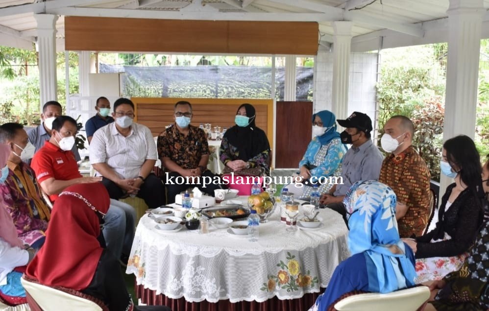 Kedatangan Public Figure, Ketua TP-PKK Kota Metro Kenalkan Batik Ciprat Khas Metro