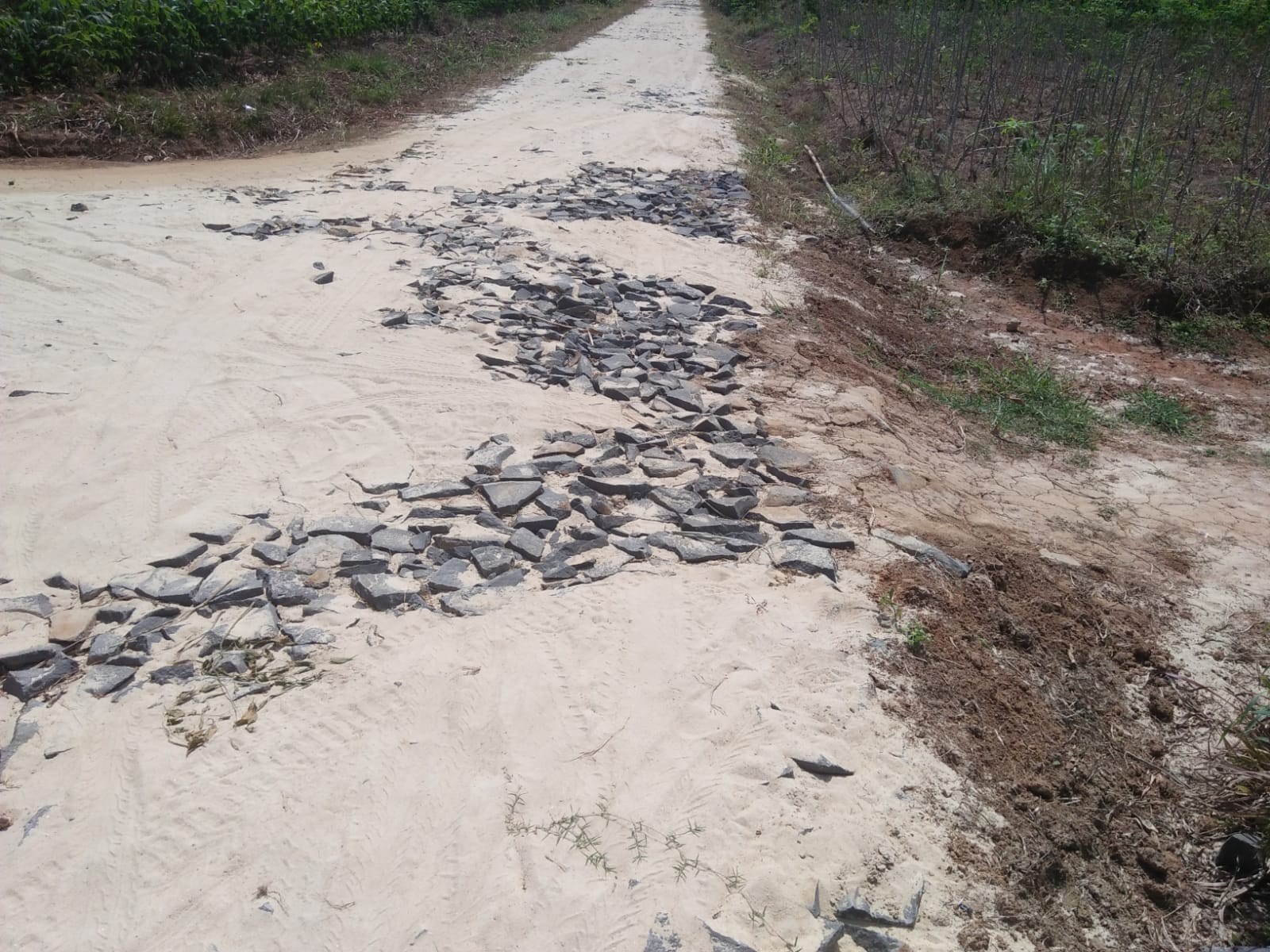 Pembuatan Jalan Onderlag DD 2023 Di Kampung Srisawahan Punggur Diduga Asal Asalan