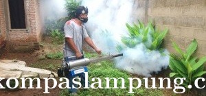 Pemuda Gantiwarno Bersama Karangtaruna Cegah DBD Dengan Fogging