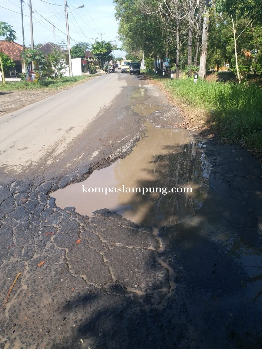 Jalan Negara Lintas Antar Kabupaten Kota Tak Kunjung Di Perbaiki