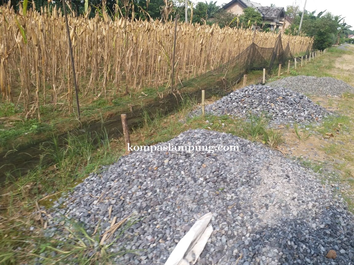Di Duga Kebijakan Kades Margototo Beraroma Kolusi