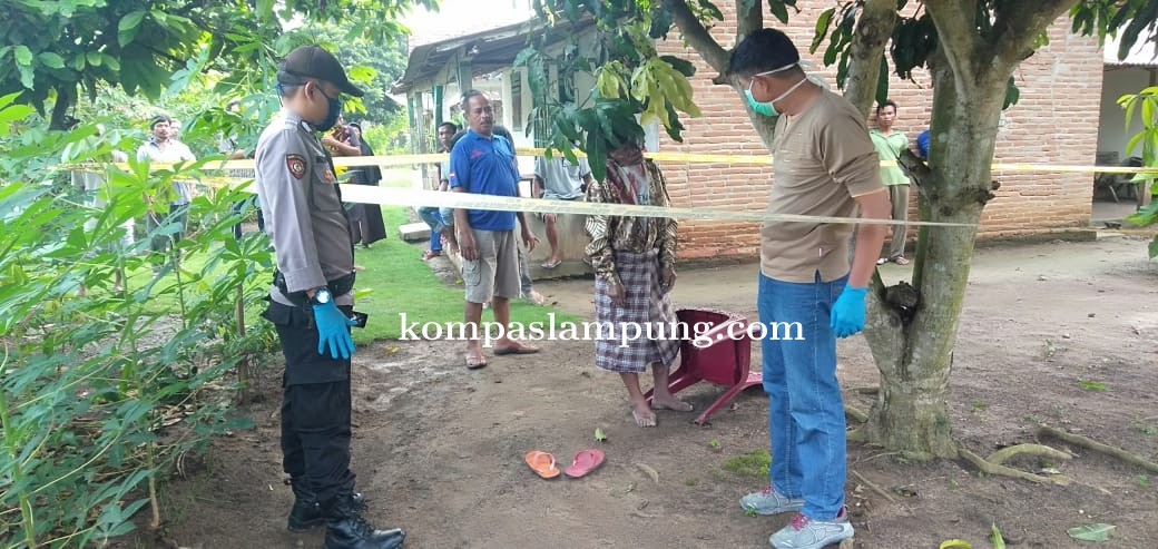 Warga Tiyuh Desa Kibang Tri Jaya Tubaba Ditemukan Tewas Gantung Diri Di Pohon Mangga