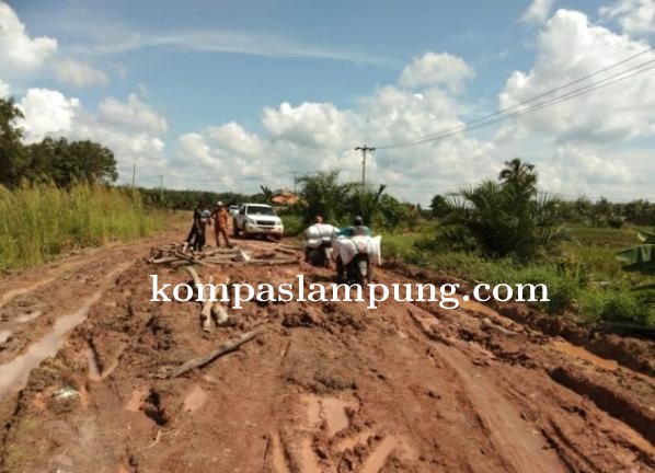 Badan Jalan Ruas Desa Desa Tanjung Mas Rejo Kec Mesuji Timur Yang Rusak Parah  Mulai Di Perbaiki
