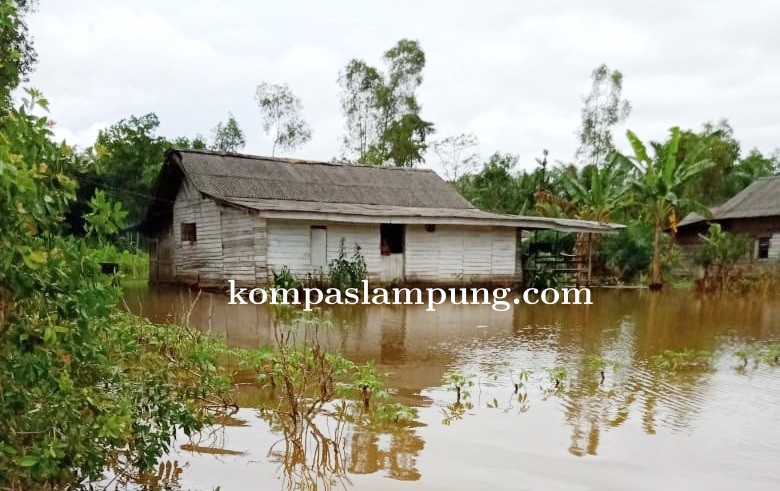 Sebanyak 73 Rumah Di Kampung Andalas Cermin Sudah Terendam Banjir