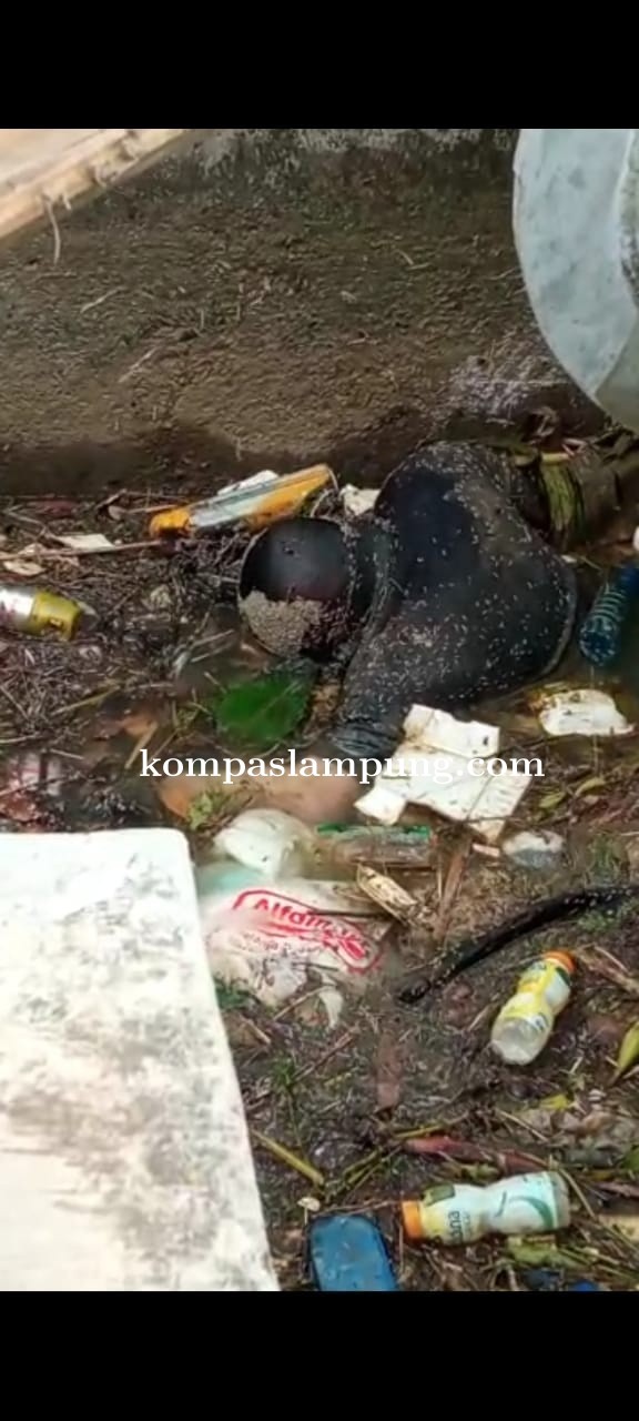 Masyarakat Pujokerto Di buat Geger Ada Mayat Di Saluran Irigasi Dam 5  