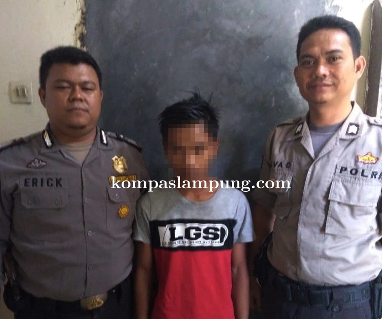Rampas HP Milik Pelajar Berumur 12 Tahun, Seorang Pemuda Ditangkap Polsek Tulang Bawang Tengah