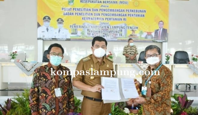Bupati Lamteng Tanda Tangani MOU Dengan Badan Penelitian Dan Pengembangan Pertanian