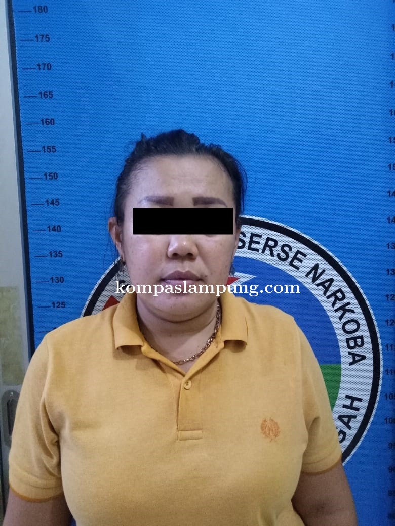 Di Duga Jadi Pengedar Narkoba Ibu Rumah Tangga  Di Tangkap Polisi