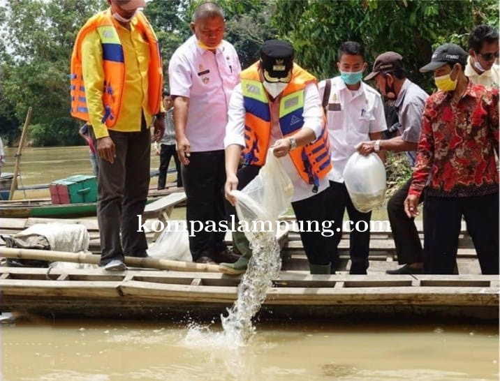 Musa AhmadS, sos Bupati Lampung Tengah Tabur Benih Di Kali Way Seputih Kec Bumi Nabung