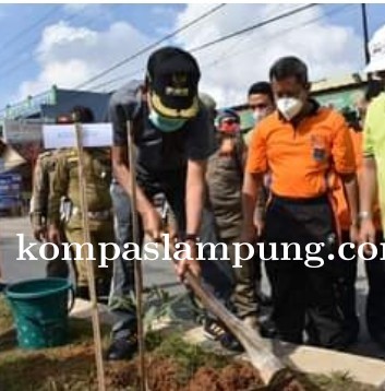 Gerakan Hari Menanam Pohon Indonesia (HMPI) Wali Kota Metro Tanam Bibit Pohon