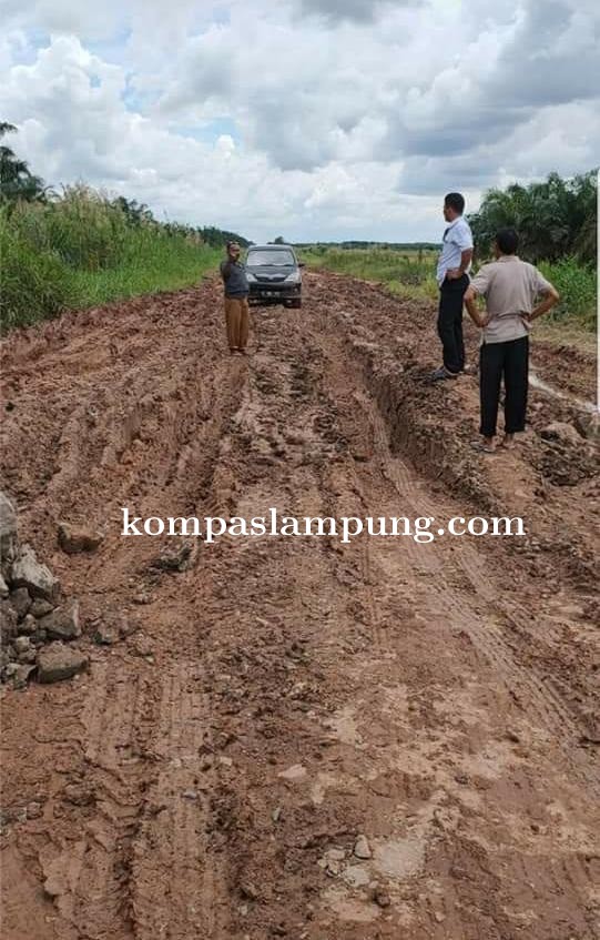 Ketua DPRD Mesuji Meminta Pemerintah Perbaiki Jalan Penghubung Tanggul Penangkis- Rawajitu Utara