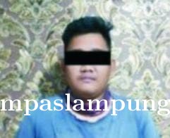 Team Tekab 308 Polres Lampung Tengah Ringkus Pelaku Curat Serta Penadahnya